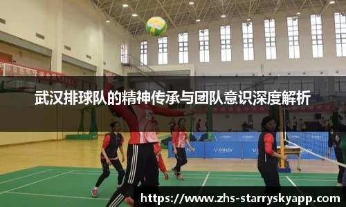 武汉排球队的精神传承与团队意识深度解析